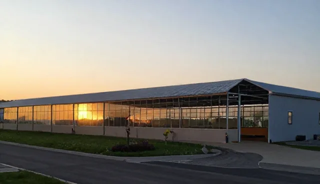 售后支持在销售一体化中的关键作用与建议
